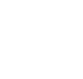 e e88