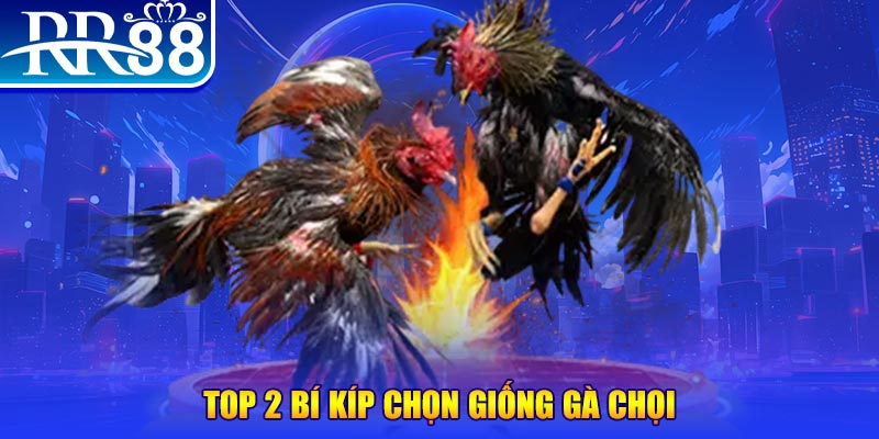 e e88 máy thu cước bắn cá