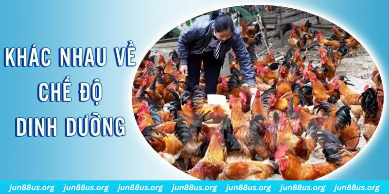 e e88 xổ số miền nam thứ năm hàng tuần