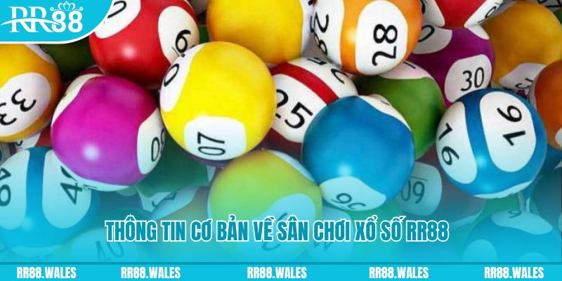 e e88 đá gà hôm nay