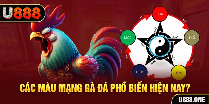 e e88 FTG Điện Tử