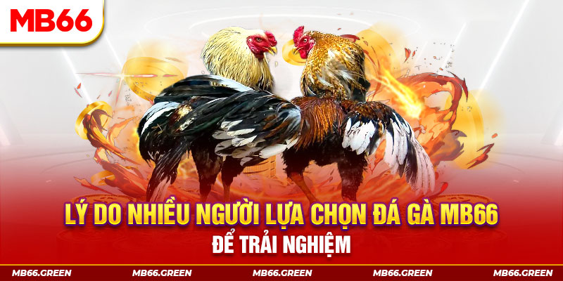 e e88 KA Điện Tử