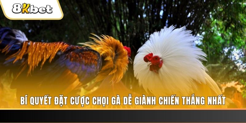 e e88 xổ số thứ hai hàng tuần