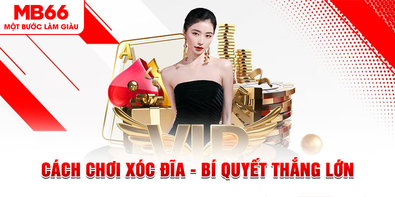 e e88 trực tiếp đá gà c1 hôm nay