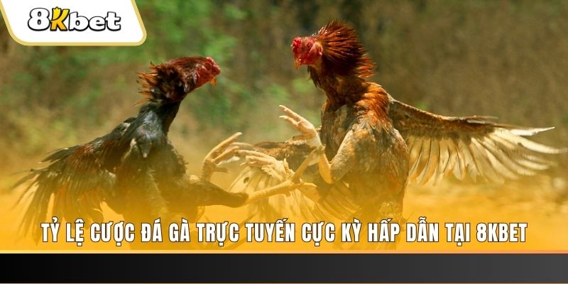 e e88 baccarat online bịp như thế nào