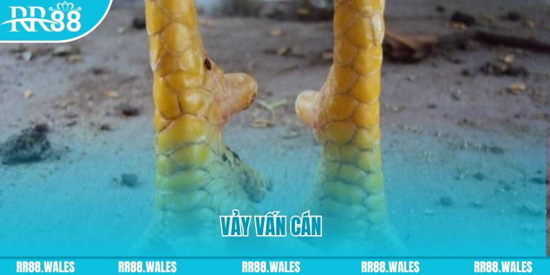 e e88 đăng nhập nổ hũ hôm nay