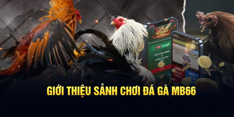 e e88 đăng nhập poker hôm nay